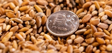 Ukraine's envoy says Turkey among those buying grain stolen by Russia