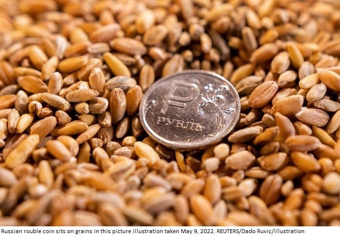 Ukraine's envoy says Turkey among those buying grain stolen by Russia