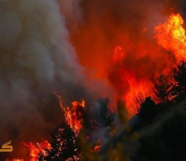 بەهۆی ئاگر كەوتنەوە لە دارستانێكی پاکستان چوار كەس گیانیان لە دەستدا