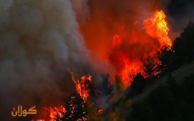 بەهۆی ئاگر كەوتنەوە لە دارستانێكی پاکستان چوار كەس گیانیان لە دەستدا