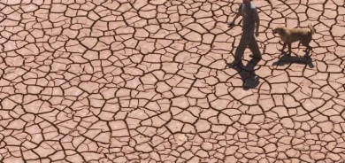 NY hişyarî da: Germahî dê asta standarda cîhanî derbas bike