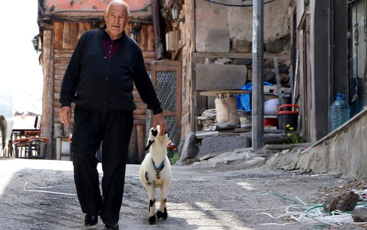 Li Erzeromê welatiyek 65 sal in berxên sêwî xwedî dike