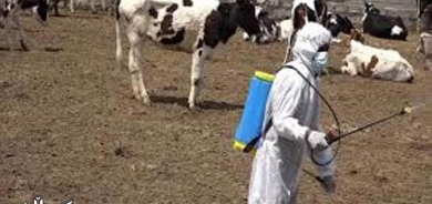 لە كوردستان ڕێكاری پێویست بۆ ڕێگەگرتن لە پەتای خوێنبەربوون دەگیرێتە بەر