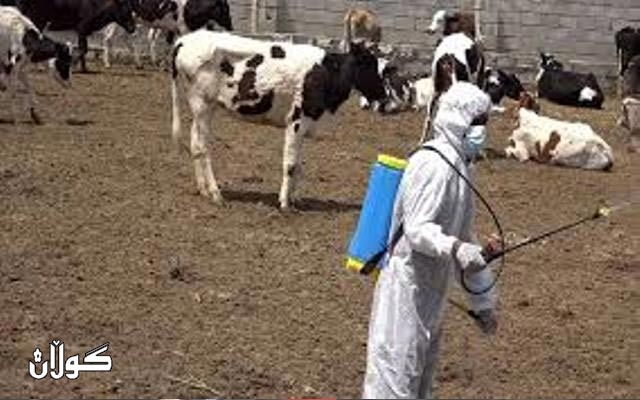 لە كوردستان ڕێكاری پێویست بۆ ڕێگەگرتن لە پەتای خوێنبەربوون دەگیرێتە بەر