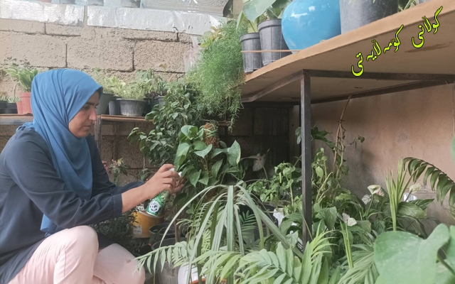 خەنسا مەجید:  زۆر جار شكاومەتەوە، بەڵام هەر شكانەوەیەك بۆ من هەستانەوەیەك