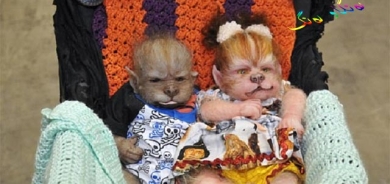 ئافرەتێك بێچووی گورگ دەكاتە منداڵ