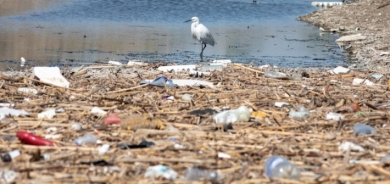 استنشاق الهواء الملوّث أخطر من السجائر والكحول و