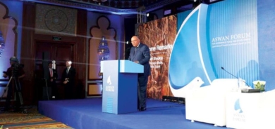 مصر تطالب بـ«تكاتف أفريقي» في مواجهة تحديات الأمن الغذائي والإرهاب