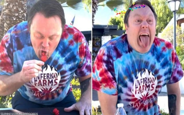 بیبەرخۆری جیهان