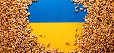 Turkey says it is probing claims Russia stole Ukrainian grain