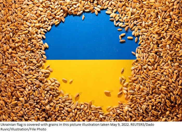 Turkey says it is probing claims Russia stole Ukrainian grain