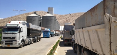 Li Herêma Kurdistanê 158 hezar ton genimê cotkaran hat wergirtin