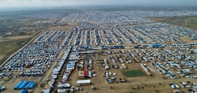 Li Kampa Holê jineke serjêkirî hat dîtin