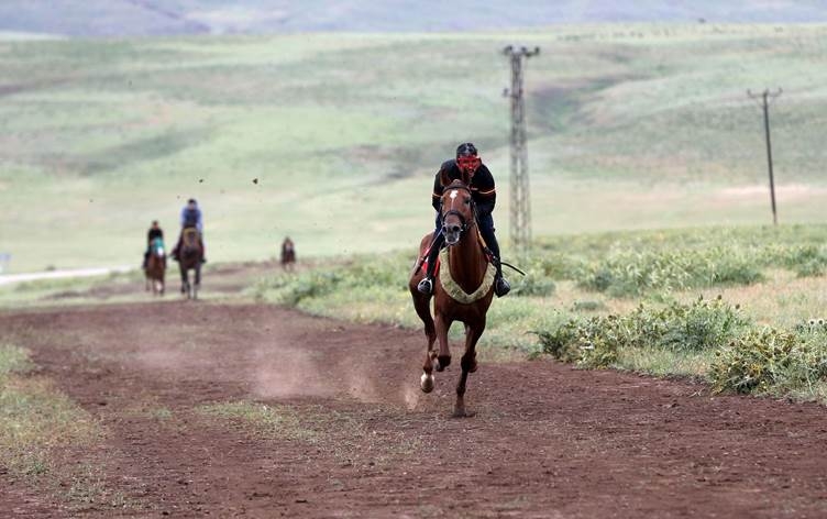 Li Mûşê gundiyan pêşbaziya hespan li dar xist