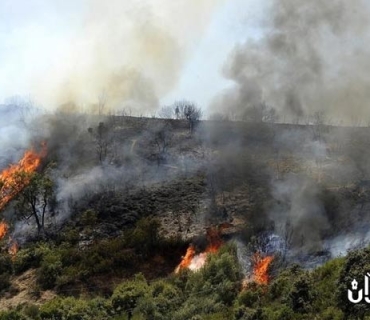 لە ئاگری دارستانەكاندا دوو کەس گیان لەدەست دا