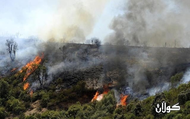 لە ئاگری دارستانەكاندا دوو کەس گیان لەدەست دا