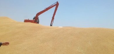 بمشاركة كوردستان.. التجارة تعلن تسويق أكثر من مليوني طن حنطة هذا العام