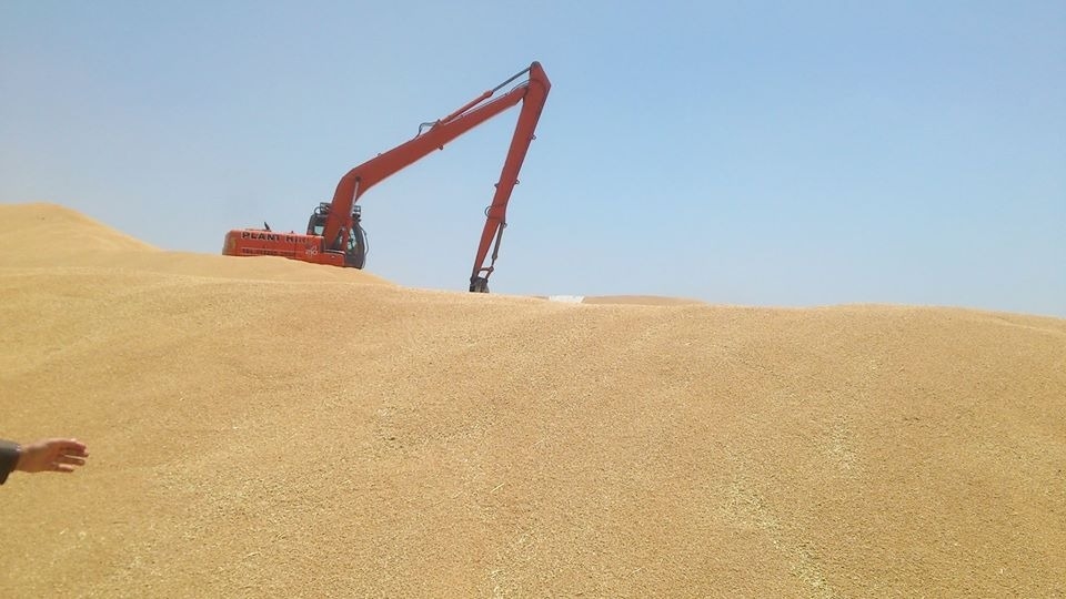 بمشاركة كوردستان.. التجارة تعلن تسويق أكثر من مليوني طن حنطة هذا العام