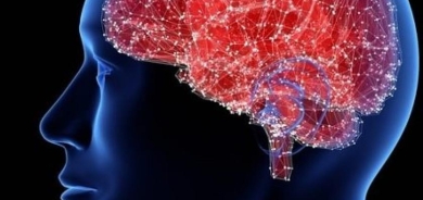 طبيبة تكشف سبب صعوبة استيعاب المعلومات الجديدة؟