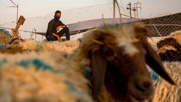 من ضمنها 36 حالة وفاة .. ارتفاع جديد لإصابات الحمى النزفية في العراق