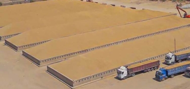 وزارة التجارة العراقية: خزين الحنطة يبلغ مليونين و50 ألف طن