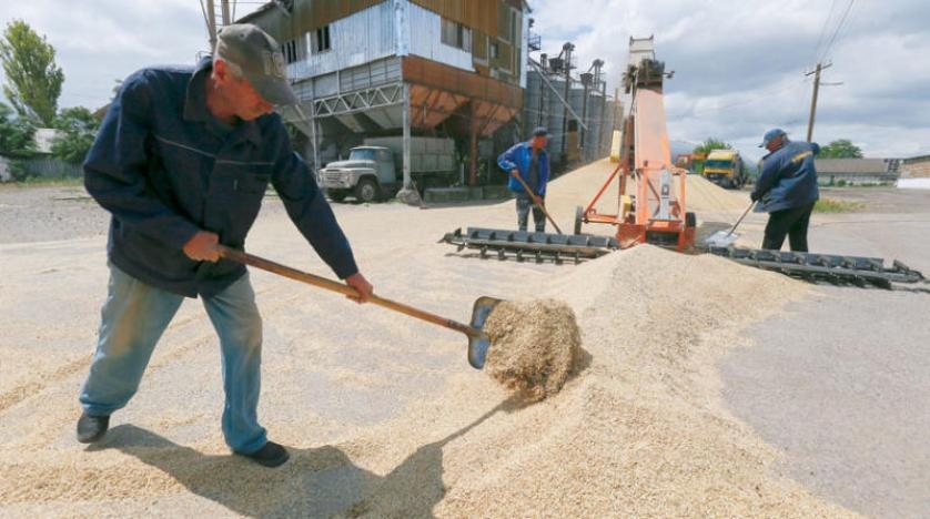 شبح القصف يخيّم على حصاد القمح في أوكرانيا