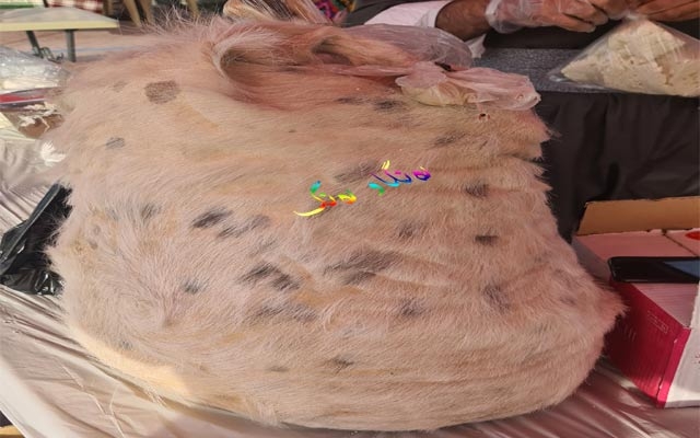 پێستە بۆ هەڵگرتنی خۆراك