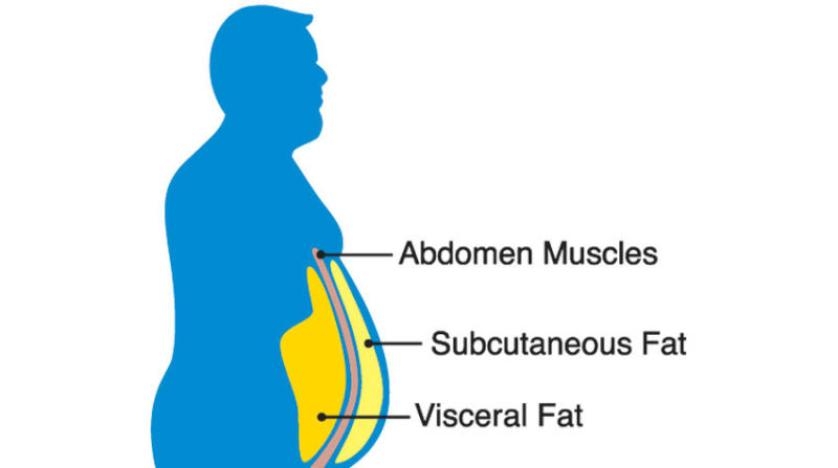 الطريقة الصحية للتعامل مع دهون الجسم