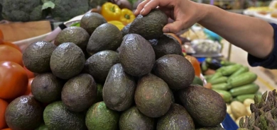 فوائد عظيمة للأفوكادو على الصحة