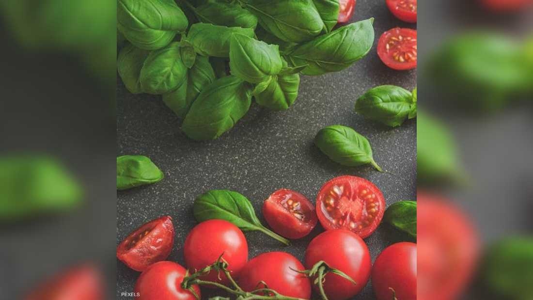 كيتو في منافسة مع حمية البحر المتوسط.. لمن الغلبة؟