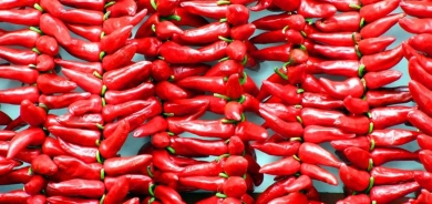 حارق ومؤلم.. تعرف على فوائد الفلفل الحار