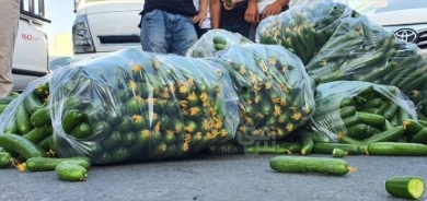 وزارة الزراعة في حكومة الاقليم تحظر استيراد الخيار والطماطم