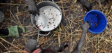 Ukraine war worsens food insecurity worldwide— report