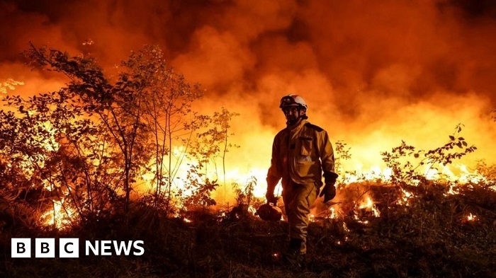 Heatwave: Warnings of 'heat apocalypse' in France