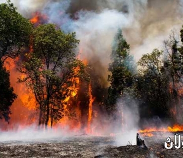 ئاگرکەوتنەوە لە دارستانەکانی ویلایەتی کالیفۆرنیای ئەمریکا