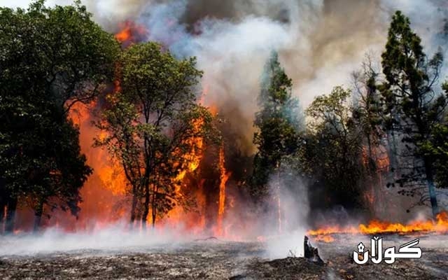 ئاگرکەوتنەوە لە دارستانەکانی ویلایەتی کالیفۆرنیای ئەمریکا