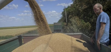 Yekem keştiya genimê Ukraynayê gihîşte Tirkiyê