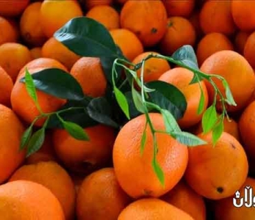 چین هاوردەکردنی میوەی لە تایوانەوە ڕاگرت