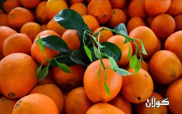 چین هاوردەکردنی میوەی لە تایوانەوە ڕاگرت