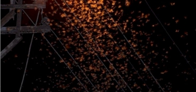 Kûliyan bajareke bakûrê Kurdistanê dagîr kir