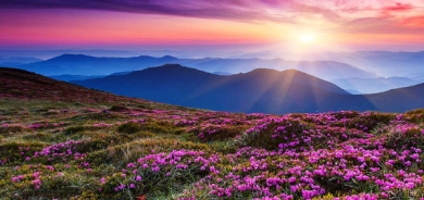 ڕەنگ لە سرووشتدا