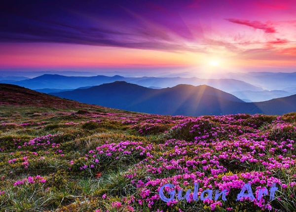 ڕەنگ لە سرووشتدا