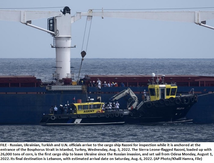 Ukraine grain shipments offer hope, not fix to food crisis