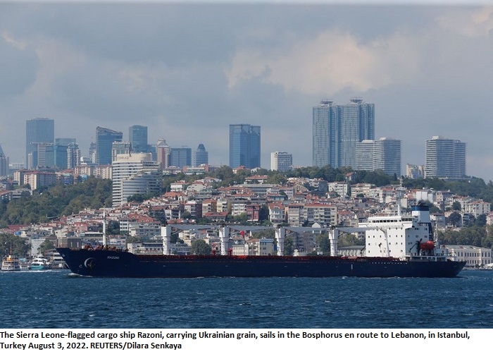 First Ukraine ship under grain deal will not dock in Lebanon on time