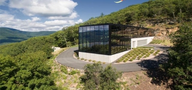 شەوێكی دارستان