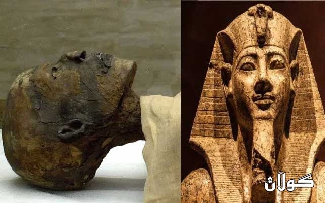 ڕاوێژکاری سەرۆکی میسر بۆ کاروباری ئایینی: فیرعەون میسری نەبوو