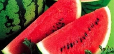 ما حقيقة أن البطيخ الأحمر كان مرّاً وقاتلاً قبل آلاف السنين؟