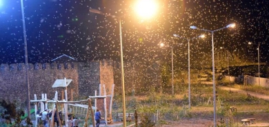 Li Erdexanê ‘Reqsa Mirinê’ ya perperikan