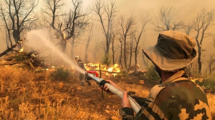 Li Cezayîrê ji ber şewatên daristanan 26 kes mirin