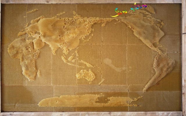 نەخشەی جیهان لەسەر شانەی هەنگ